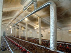 AireSolar pone en marcha un sistema jumbo solar en granja avícola